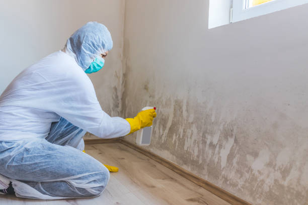 Licensed Crawl Space Mold Remediation service in Sanford, VA - Car Mold Remediation