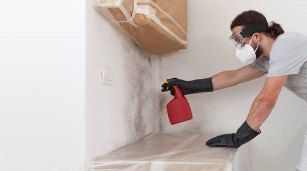 Professional Crawl Space Mold Remediation technician working in Sanford, VA