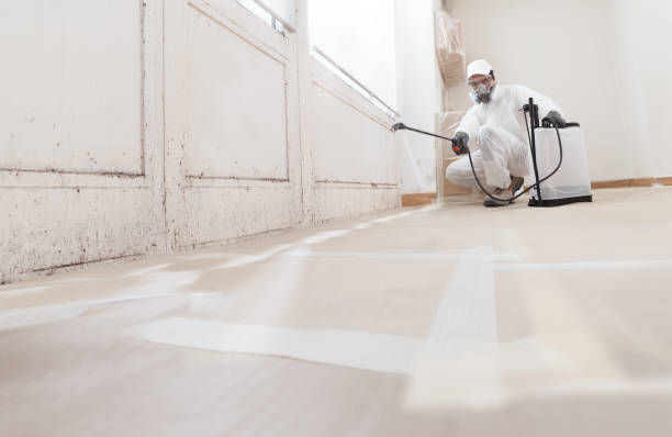 24/7 Emergency Crawl Space Mold Remediation experts in Sanford, VA
